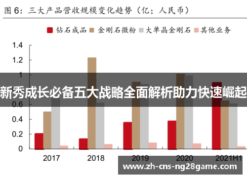 新秀成长必备五大战略全面解析助力快速崛起