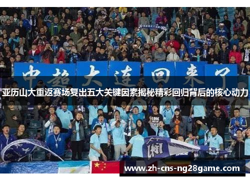 亚历山大重返赛场复出五大关键因素揭秘精彩回归背后的核心动力