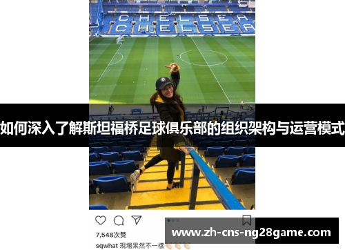 如何深入了解斯坦福桥足球俱乐部的组织架构与运营模式
