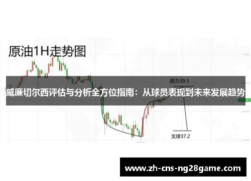 威廉切尔西评估与分析全方位指南：从球员表现到未来发展趋势
