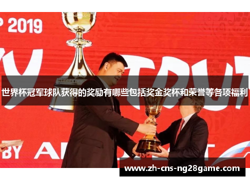 世界杯冠军球队获得的奖励有哪些包括奖金奖杯和荣誉等各项福利