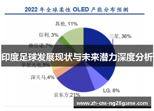 印度足球发展现状与未来潜力深度分析 印度足球发展现状与未来潜力深度分析